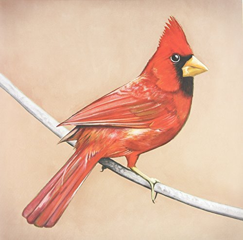 Alexisonfire - Old Crows / Young Cardinals (New Vinyl LP)