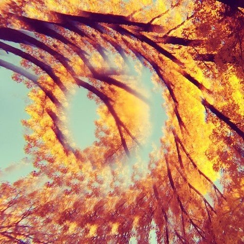 A Hawk and a Hacksaw - Forest Breathing  (New Vinyl LP)