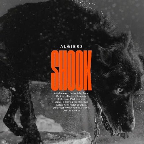 Algiers - Shook  (New Vinyl LP)