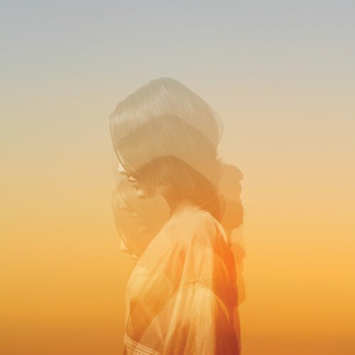 Hollie Kenniff - We All Have Places That We Miss  (New Vinyl LP)